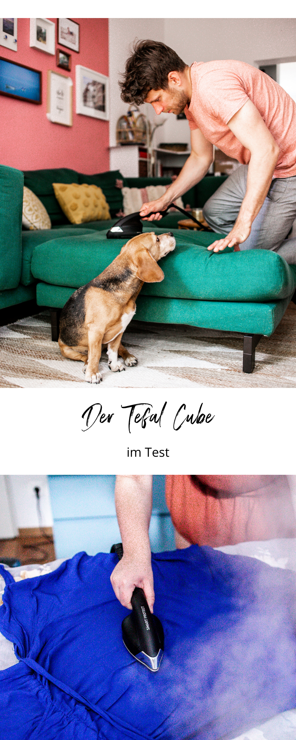 Tefal CUBE Test Review Hund Haustiere